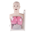 Medical Nurse Training Nasal Feeding and Gastric Lavage Simulator